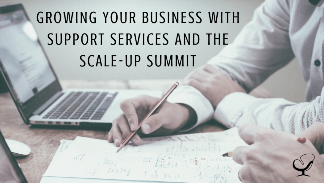 Growing Your Business with Support Services and the Scale-Up Summit | Image representing business consultants and support services who can help grow your business and private practice | Practice of the Practice Blog